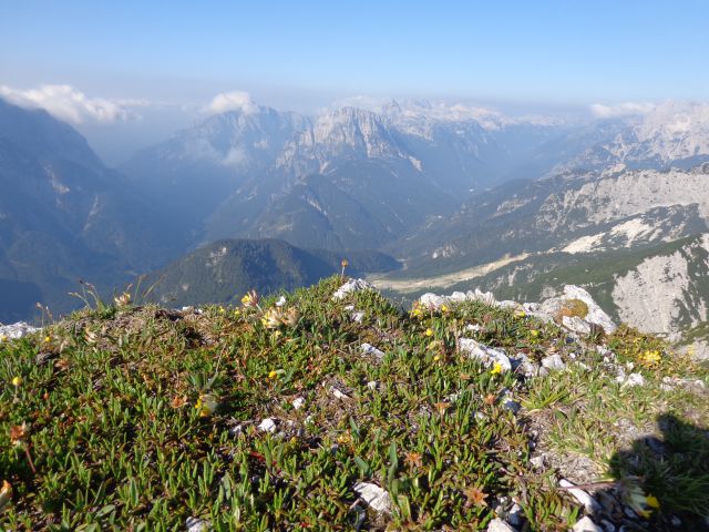 Skala in greben M. špic, 01.07.2015 - foto