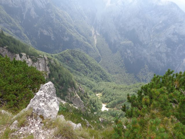Kamniški dedec, 14.07.2015 - foto