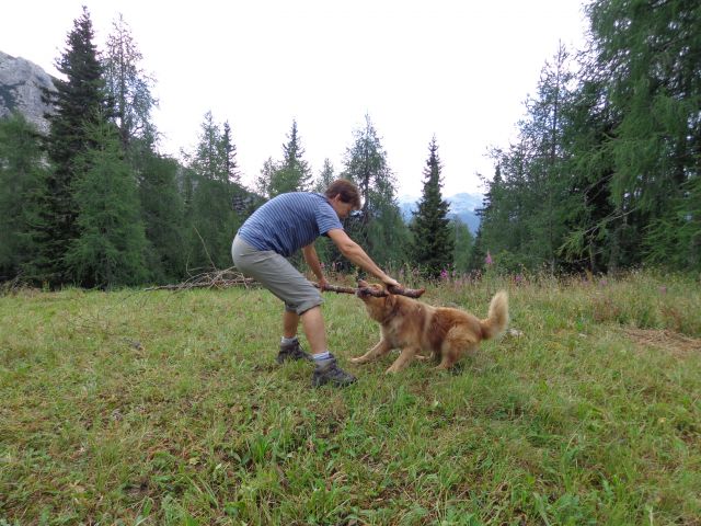 M. Tičarica, Rušnata glava, 05.08.2015 - foto