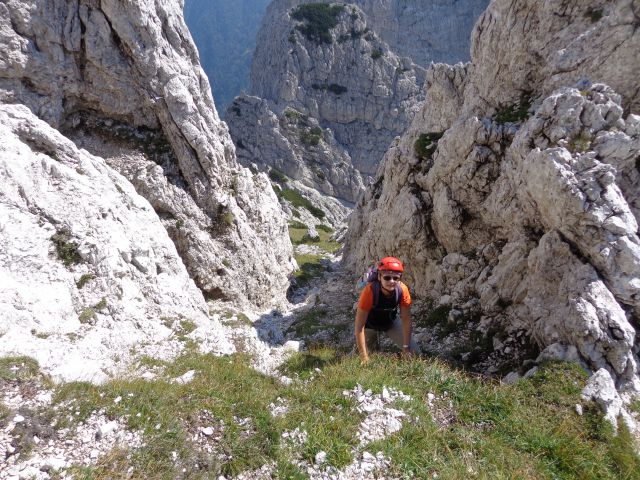 Mala lojtrica, 22.08.2015 - foto