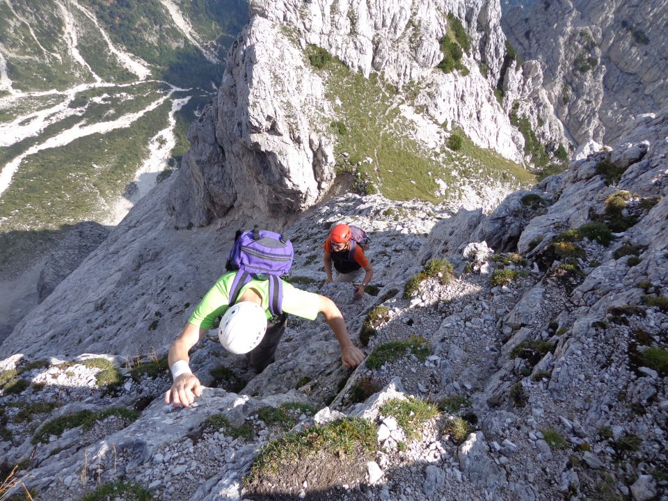 Mala lojtrica, 22.08.2015 - foto povečava