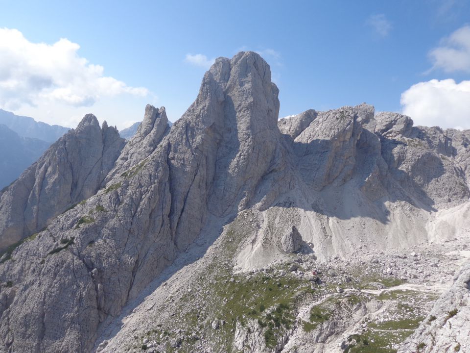 Mala lojtrica, 22.08.2015 - foto povečava