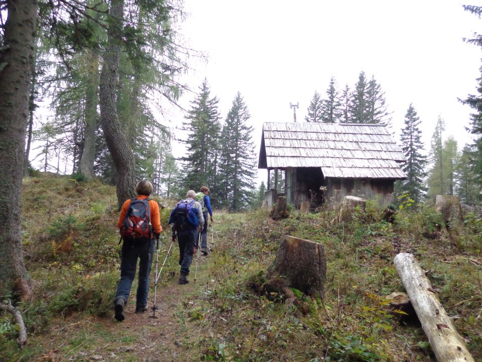 Stogi, 02.10.2015 - foto povečava