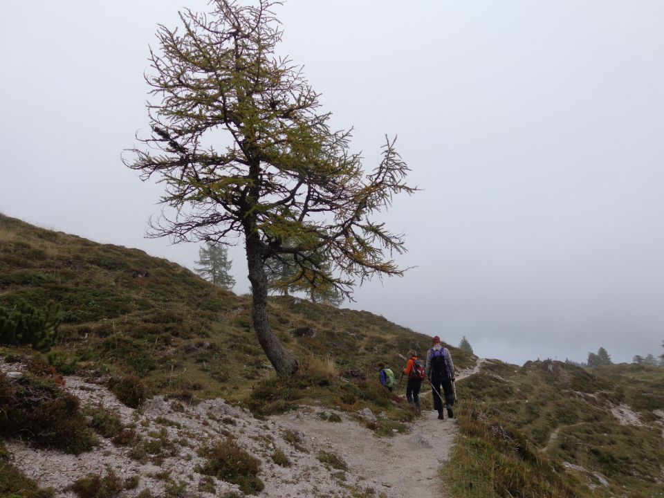 Stogi, 02.10.2015 - foto povečava