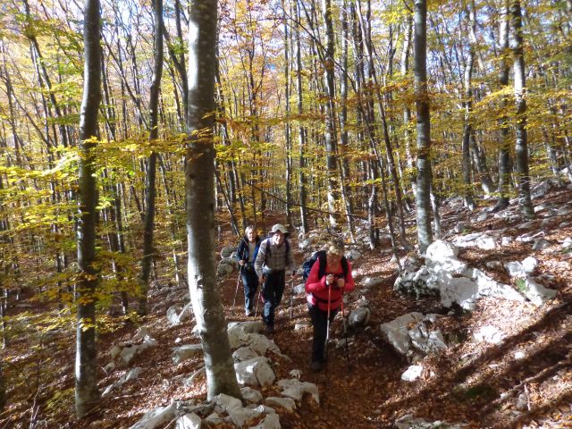 Svinjak (Sovinjak), 26.10.2015 - foto