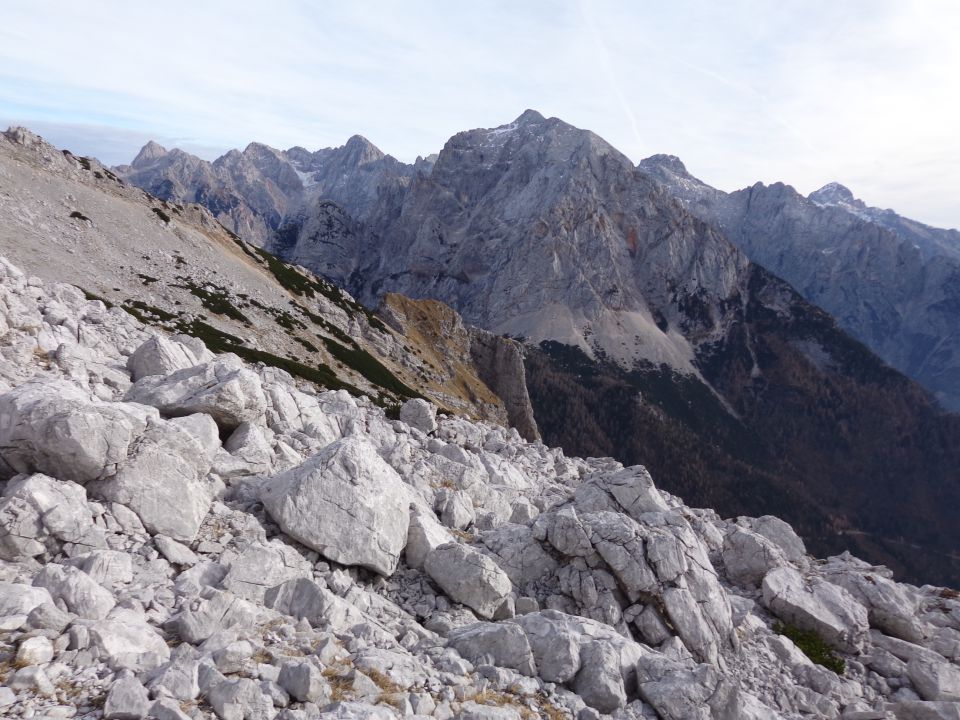 Suhi vrh, 15.11.2015 - foto povečava