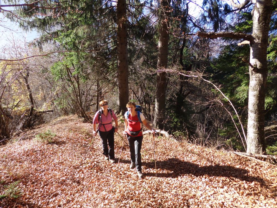 Dovška baba, 18.11.2015 - foto povečava