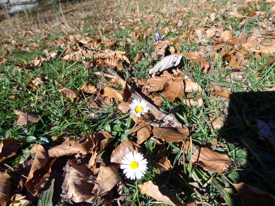 Dovška baba, 18.11.2015 - foto povečava