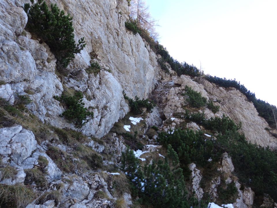 Planina Košutna, 04.12.2015 - foto povečava