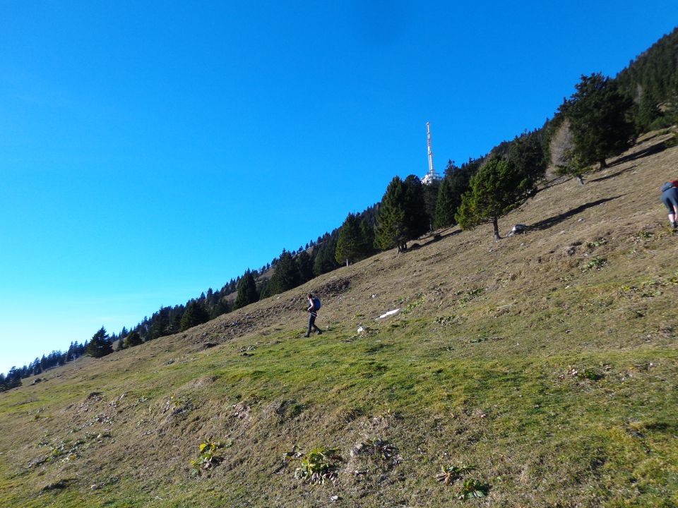 Planina Košutna, 04.12.2015 - foto povečava