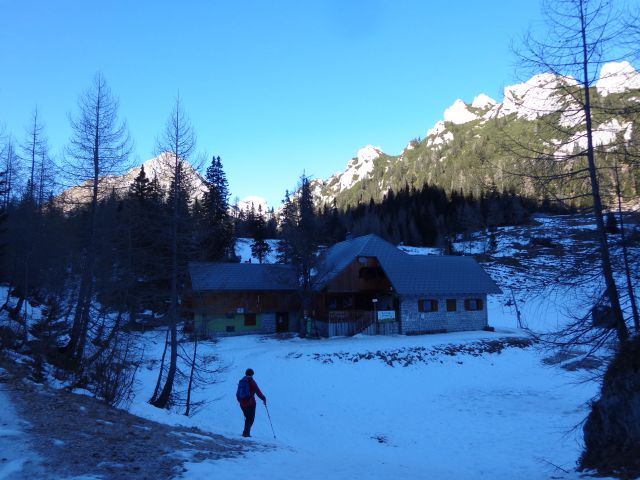 Zelenjak, 25.12.2015 - foto