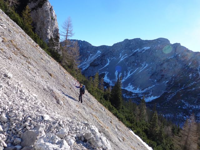 Zelenjak, 25.12.2015 - foto