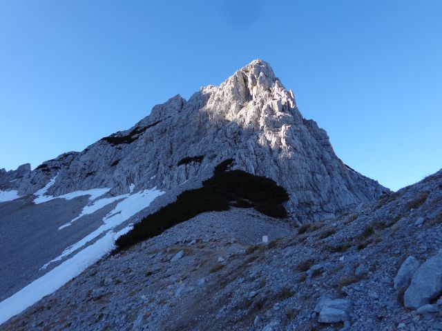 Zelenjak, 25.12.2015 - foto