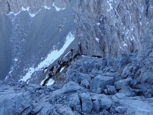 Zelenjak, 25.12.2015 - foto