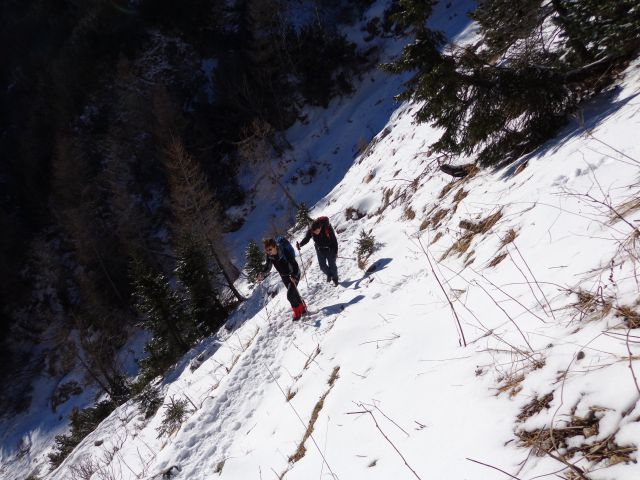 Kačji rob - Viševnik, 13.01.2016 - foto