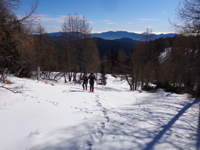 Kačji rob - Viševnik, 13.01.2016 - foto