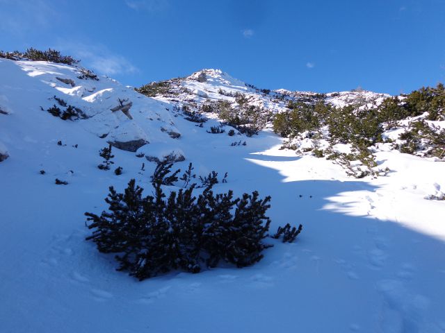 Kačji rob - Viševnik, 13.01.2016 - foto