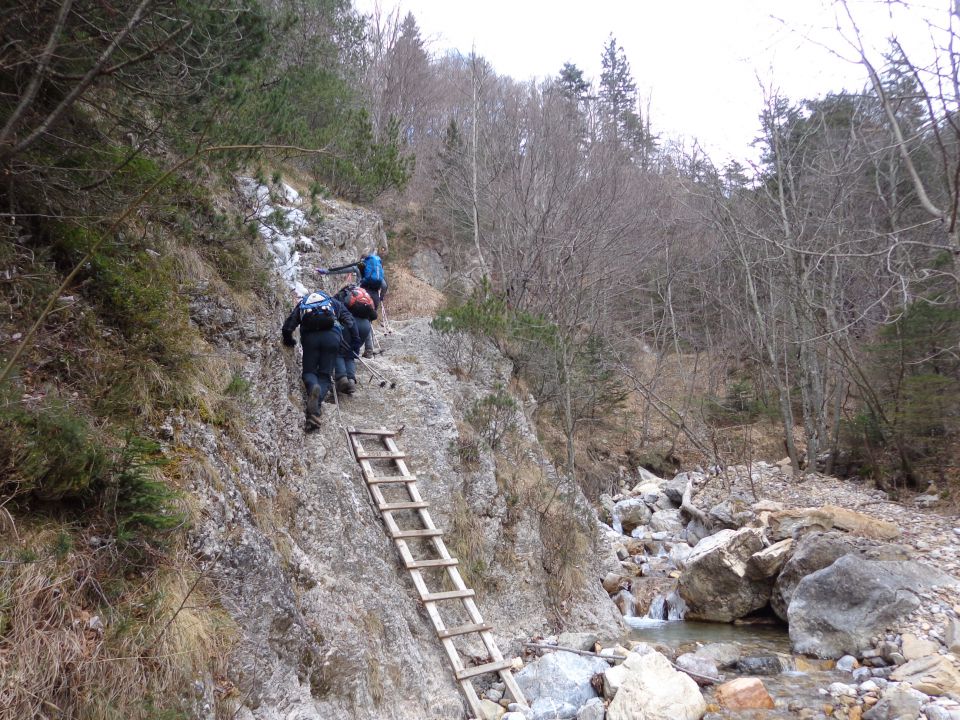 Prevala, Roblek, 20.01.2016 - foto povečava