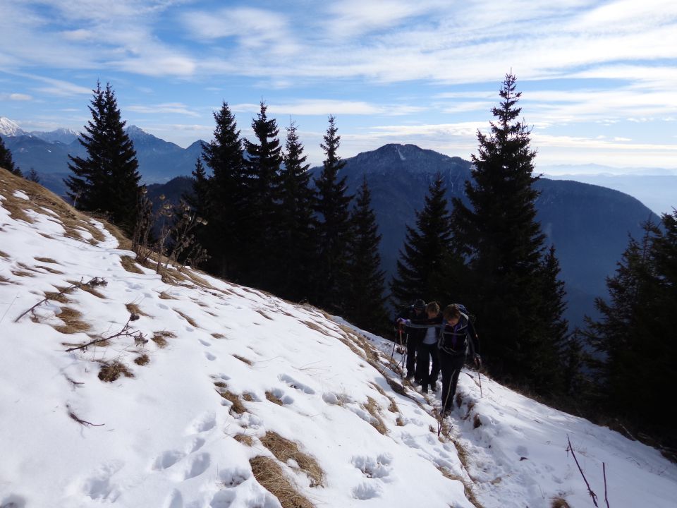 Prevala, Roblek, 20.01.2016 - foto povečava