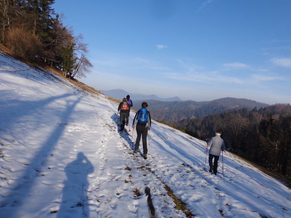 Pasja ravan, 27.01.2016 - foto povečava