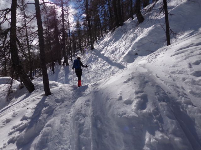 Mrežce, 24.02.2016 - foto