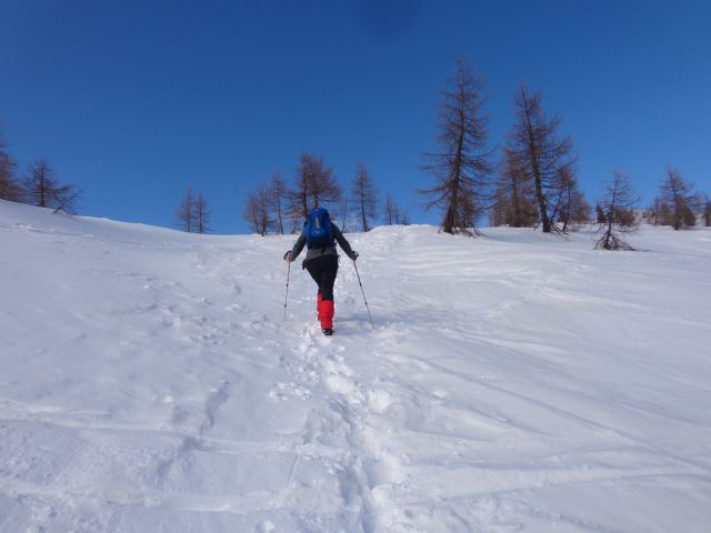 Mrežce, 24.02.2016 - foto