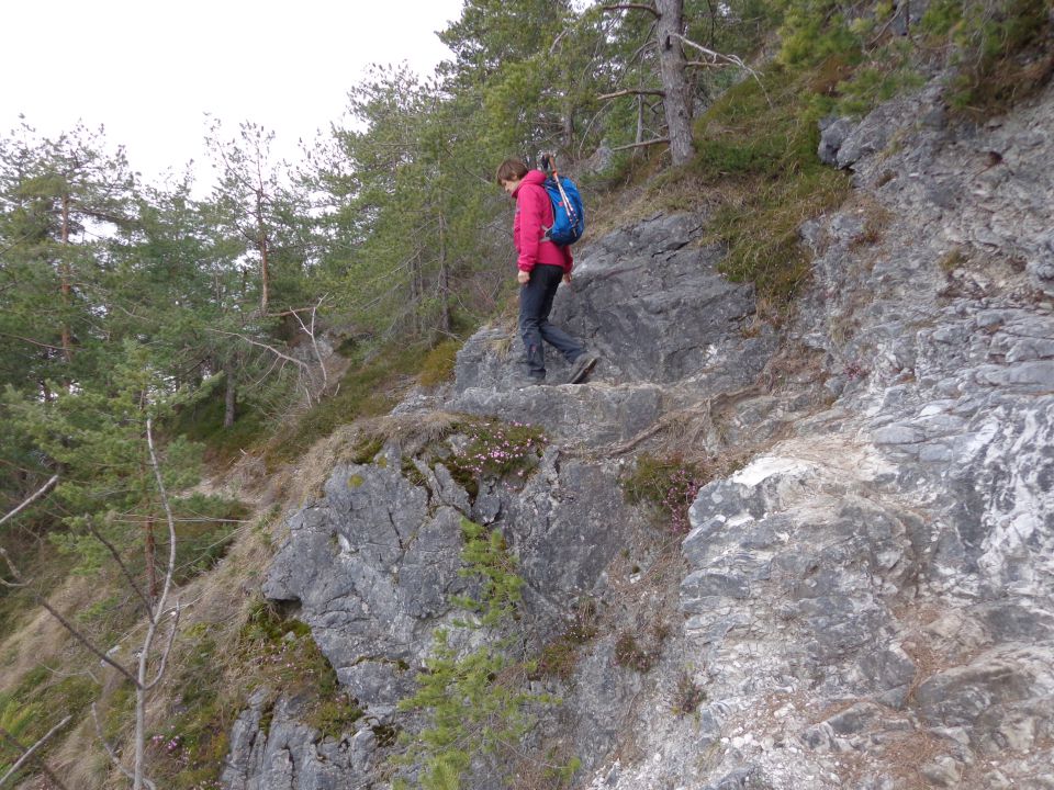 Materinski dan, 25.03.2016 - foto povečava