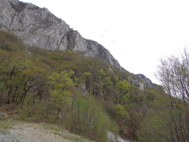 Gradiška tura, 03.04.2016 - foto