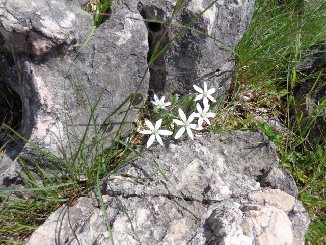 Baška - plato Mjeseca, 05.05.2016 - foto