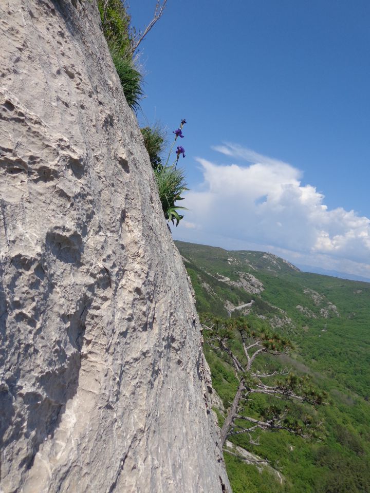 Krk - Portafortuna, 06.05.2016 - foto povečava