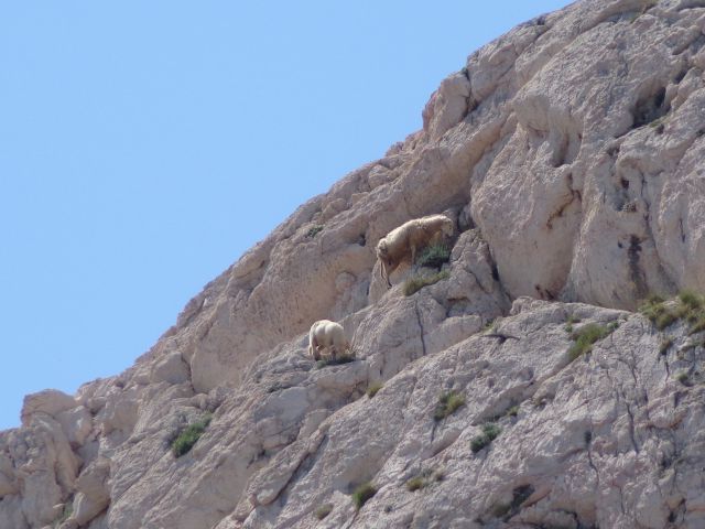 Baška, Bag in Rdeča skala, 08.05.2016 - foto