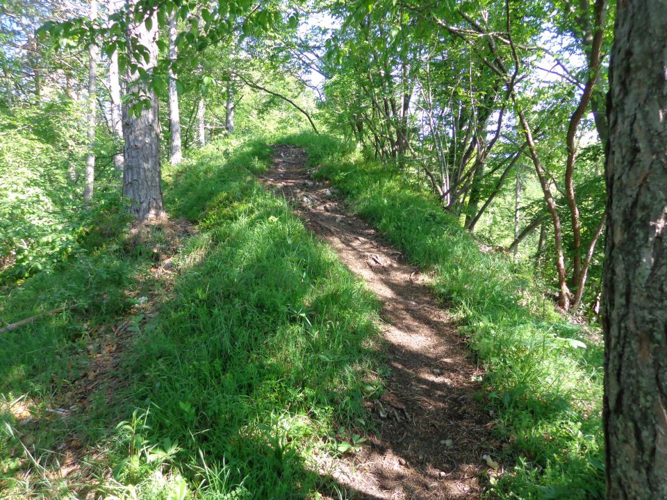 Polhograjska grmada, 25.05.2016 - foto povečava