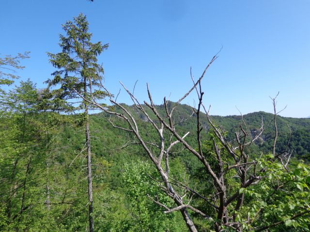 Polhograjska grmada, 25.05.2016 - foto