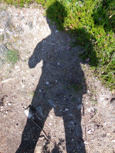 Polhograjska grmada, 25.05.2016 - foto