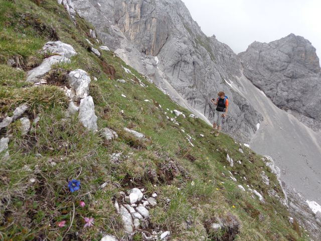 Šplevta, 18.06.2016 - foto