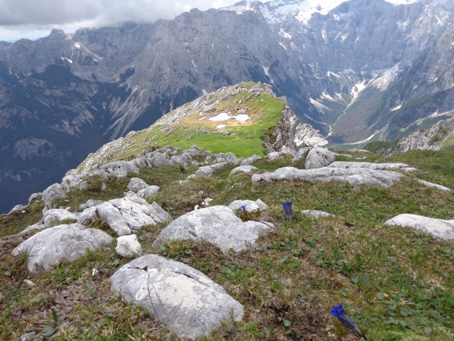 Šplevta, 18.06.2016 - foto