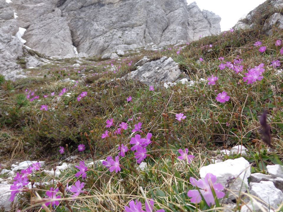 V. Baba, Vellacher Turm - Storžek, 23.06.2016 - foto povečava