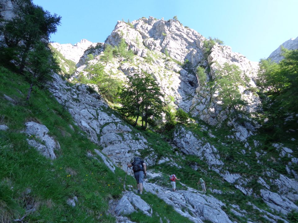 Gamsov skret, Žmavčarji, 29.06.2016 - foto povečava