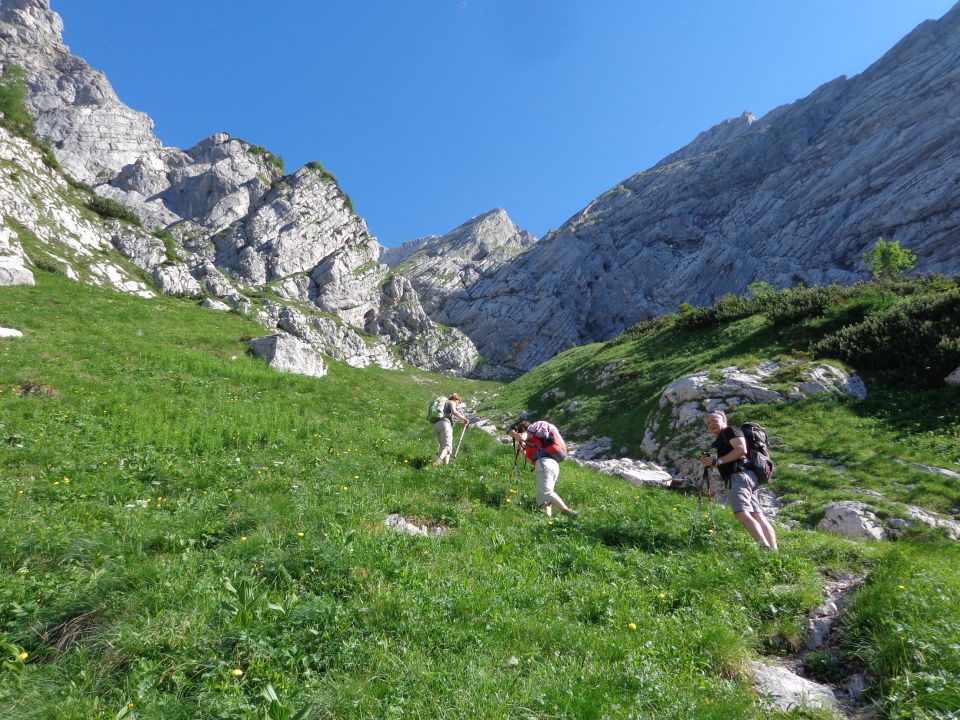 Gamsov skret, Žmavčarji, 29.06.2016 - foto povečava