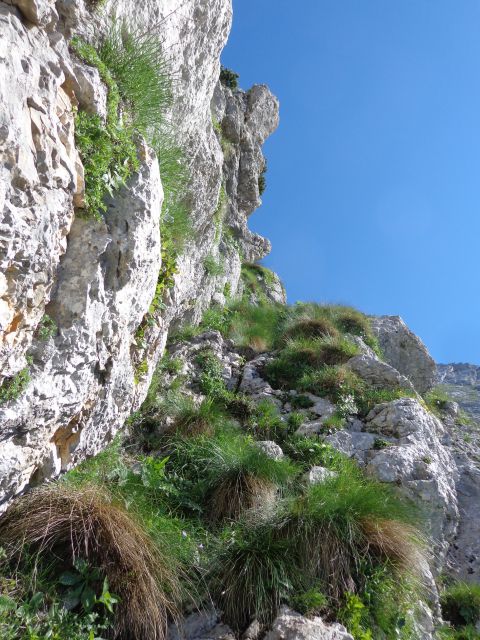 Gamsov skret, Žmavčarji, 29.06.2016 - foto