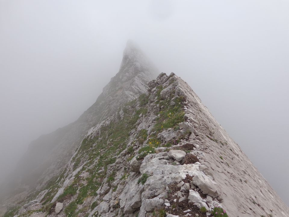 Gamsov skret, Žmavčarji, 29.06.2016 - foto povečava