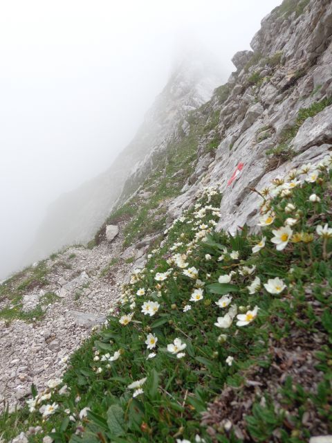 Gamsov skret, Žmavčarji, 29.06.2016 - foto