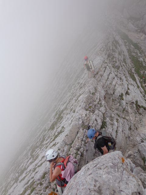 Gamsov skret, Žmavčarji, 29.06.2016 - foto