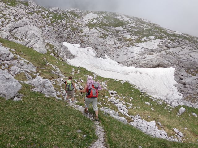 Gamsov skret, Žmavčarji, 29.06.2016 - foto