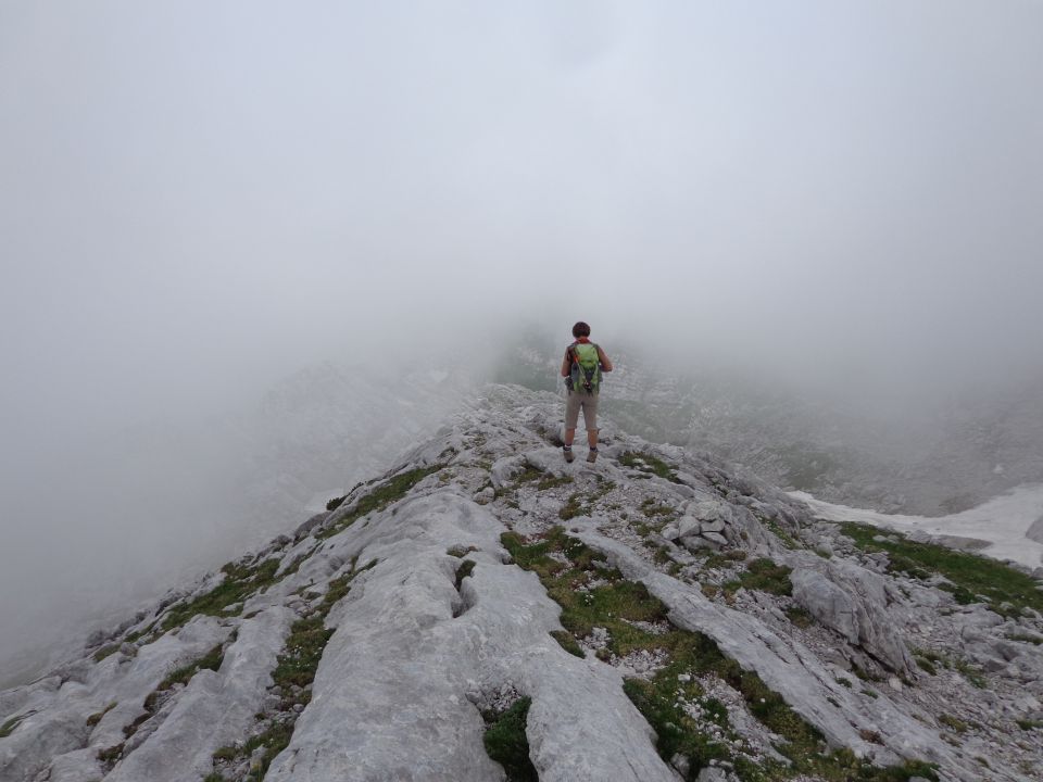 Gamsov skret, Žmavčarji, 29.06.2016 - foto povečava