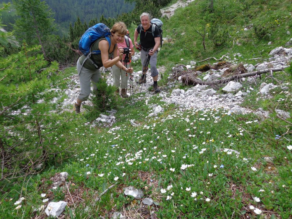 Škednjovec, 08.08.2016 - foto povečava