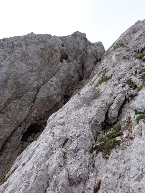 Škednjovec, 08.08.2016 - foto