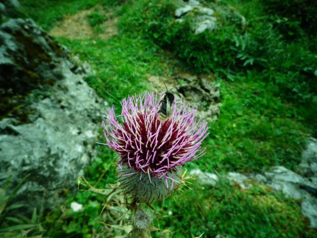 Slap Peričnik, Sleme, 07.09.2016 - foto