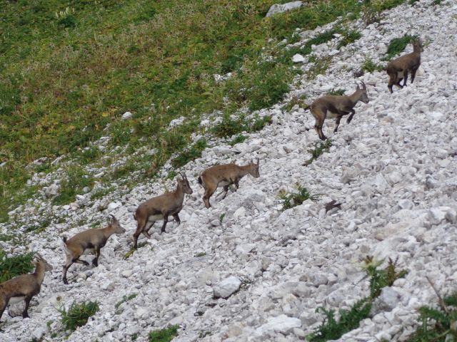 Koštrunove špice, 14.09.2016 - foto