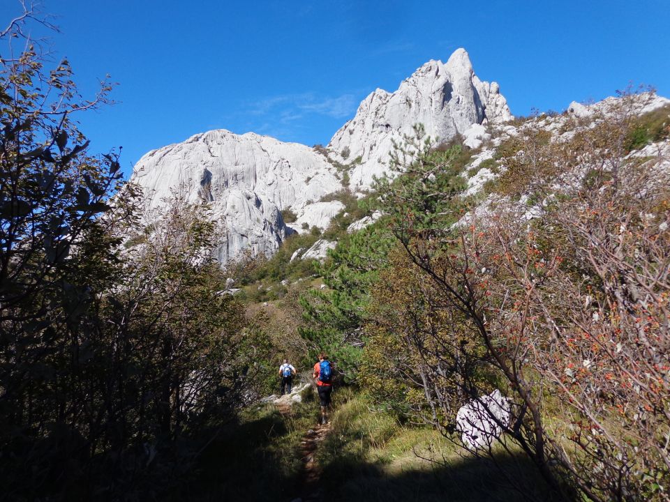 Bojin kuk, 06.10.2016 - foto povečava